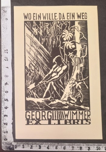 Wunderkammer exlibris 151 - wunderkammer,