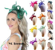 Womens Feather Looped Headband & Clip Fascinator Ladies Day Wedding Royal Ascot