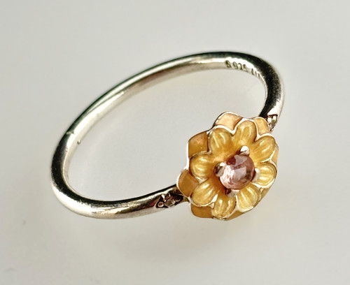 Pandora blooming dahlia - blooming,