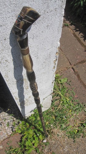 Walking cane buffalo - cane, horn