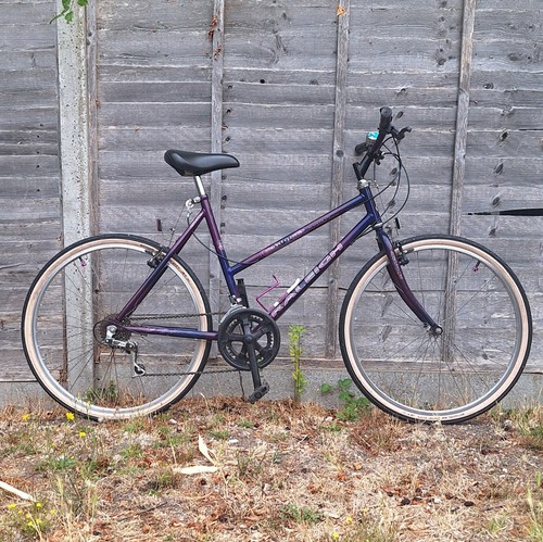 Raleigh enigma teenage - raleigh,