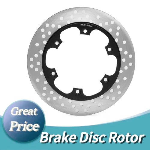 Rear brake disc - rear, for