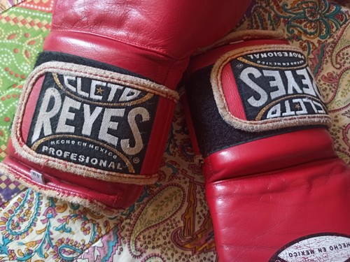 Cleto reyes punch bag gloves - cleto,
