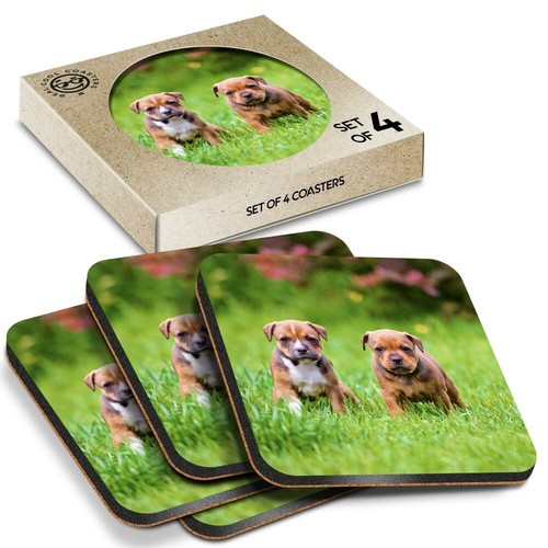 Boxed square coasters - boxed,