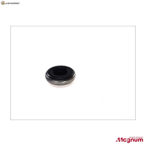 Roller bearing strut support - strut,