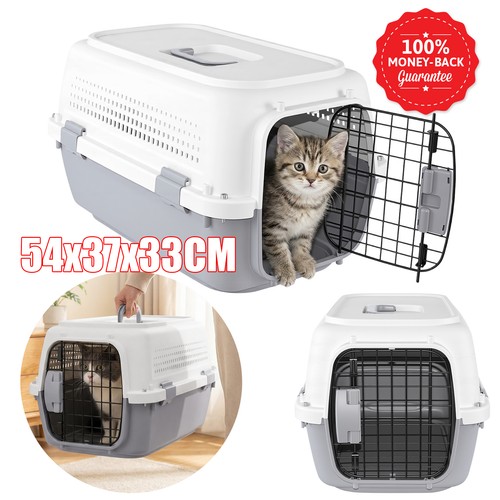 Cat carrier box - cat,
