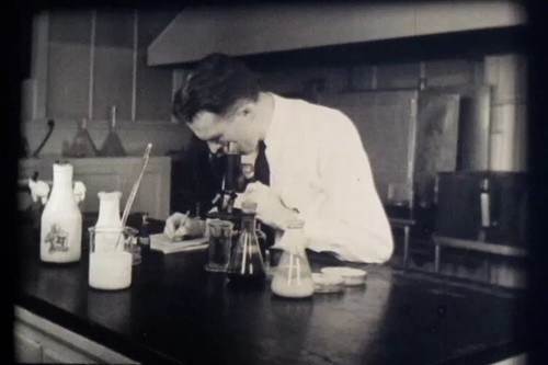 Milk pasteurization - “milk, pasteurization”