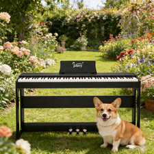 Glarry 88 Keys Full Weighted
