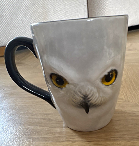 Harry potter hedwig owl - harry,