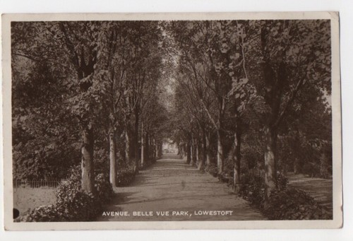 Antique postcard avenue - antique,