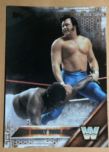 Wwe wwf honky tonk - wwe,