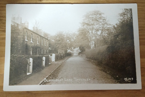 Vintage rppc postcard - vintage,