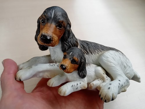 Spaniels dog and puppy - dog,