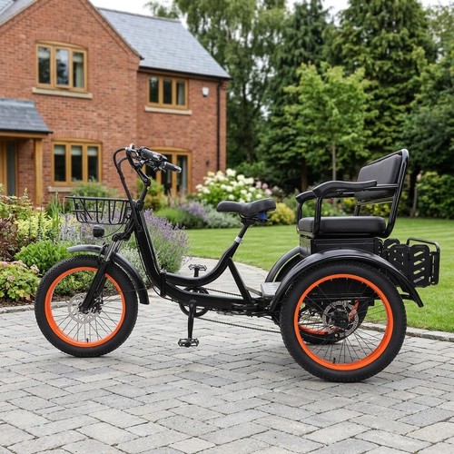 Inch electric trike rear - 20,