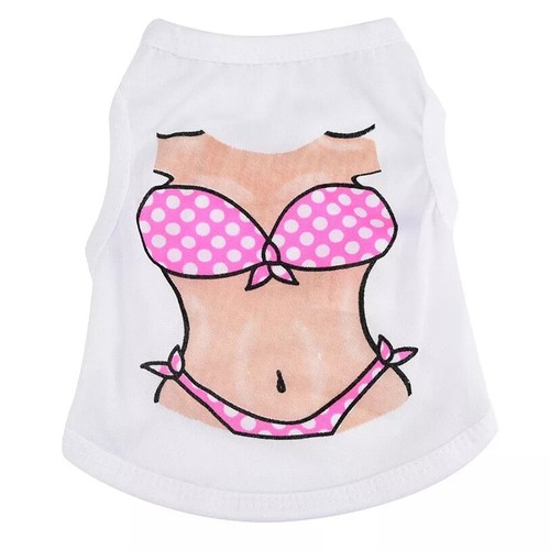 Dog top jumper puppy teacup - dog,