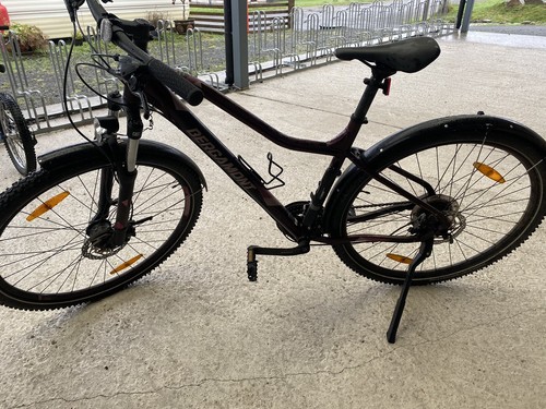 Bergamount revox fmn ladies - eq,