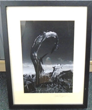 FRAMED Black And White