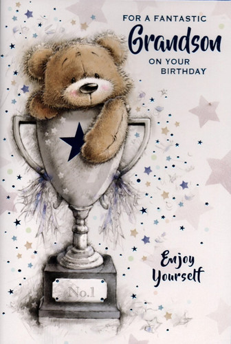 Grandson birthday card - birthday,