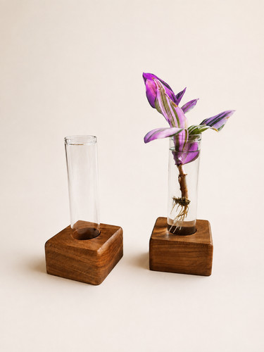 Propagation stand handmade - propagation,