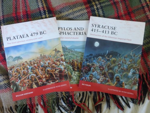 Osprey platea pylos - /, /