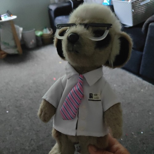 Compare the meerkat toy - the,
