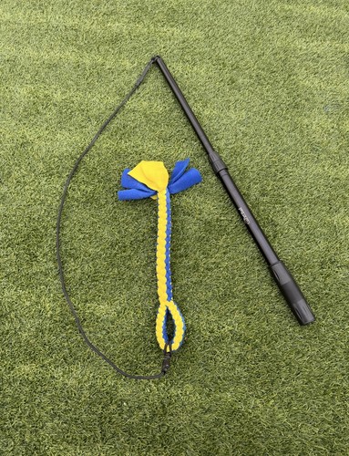 Flirt pole toy - dogs, 3