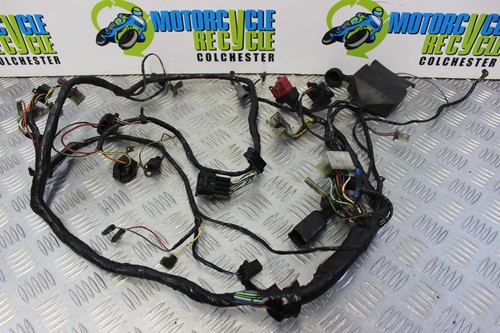 Kawasaki kle 500 wiring loom - 500,