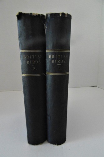 History british birds - of, by