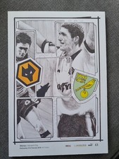 Wolverhampton Wanderers home