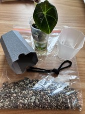 Aroid tower pot with