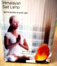 New 100% Genuine Himalayan Salt Lamp Crystal Pink Rock Natural Healing USB Plug 