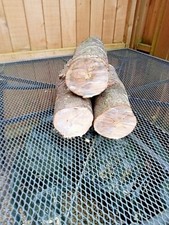 Three Pieces of Hard wood For Wood Turning       air dried for  five months