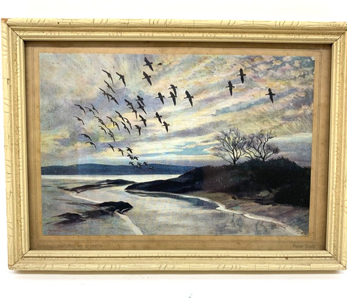 Vintage peter scott print - scott,