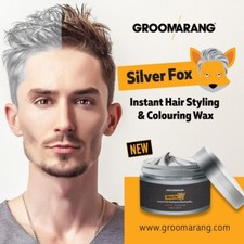 Silver Fox Instant Hair Colour