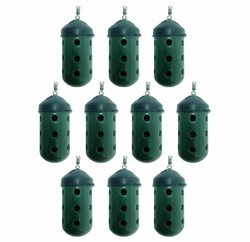 King carp maggot feeder - maggot,
