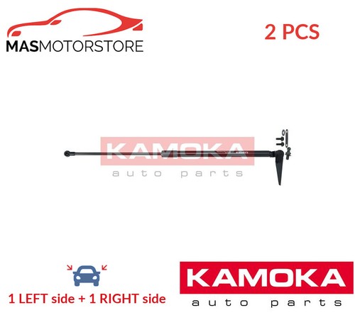 Tailgate boot struts - struts, set