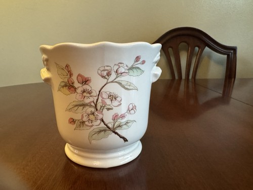 Apple blossom royal winton - blossom,