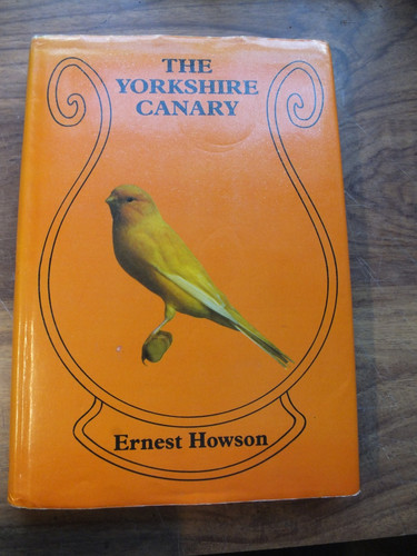 The yorkshire canary ernest - the,