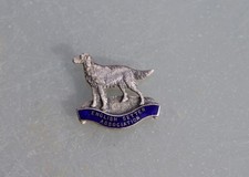 VINTAGE 1950S ENGLISH SETTER ASSOCIATION BADGE - VGC