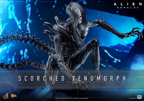 Alien romulus scorched - alien,