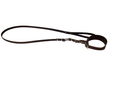 Greyhound leather lead and
