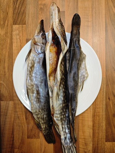 Stockfish pike lat - stockfish, (lat.
