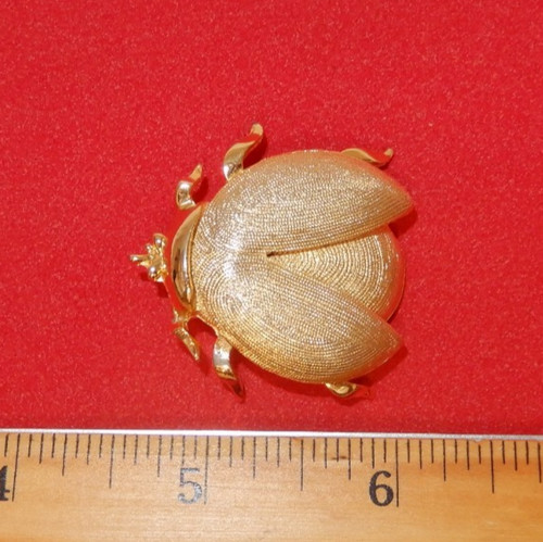 Gold toned textured beetle pin - gold,