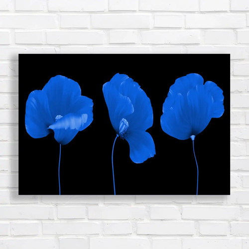Vibrant red poppy floral home - red,