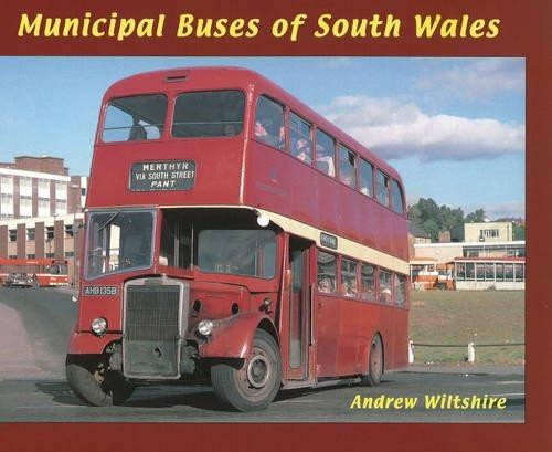 Municipal buses south - municipal, of