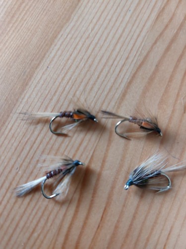 Cruncher flies orange - flies,