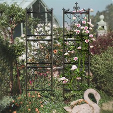 2pcs Rustic Metal Garden Rose