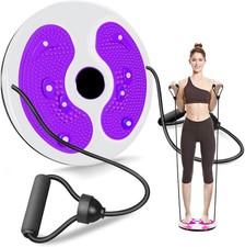 Waist Twisting Disc Board