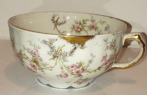 Bawo dotter elite limoges - &,