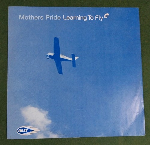 Mothers pride learning - pride,